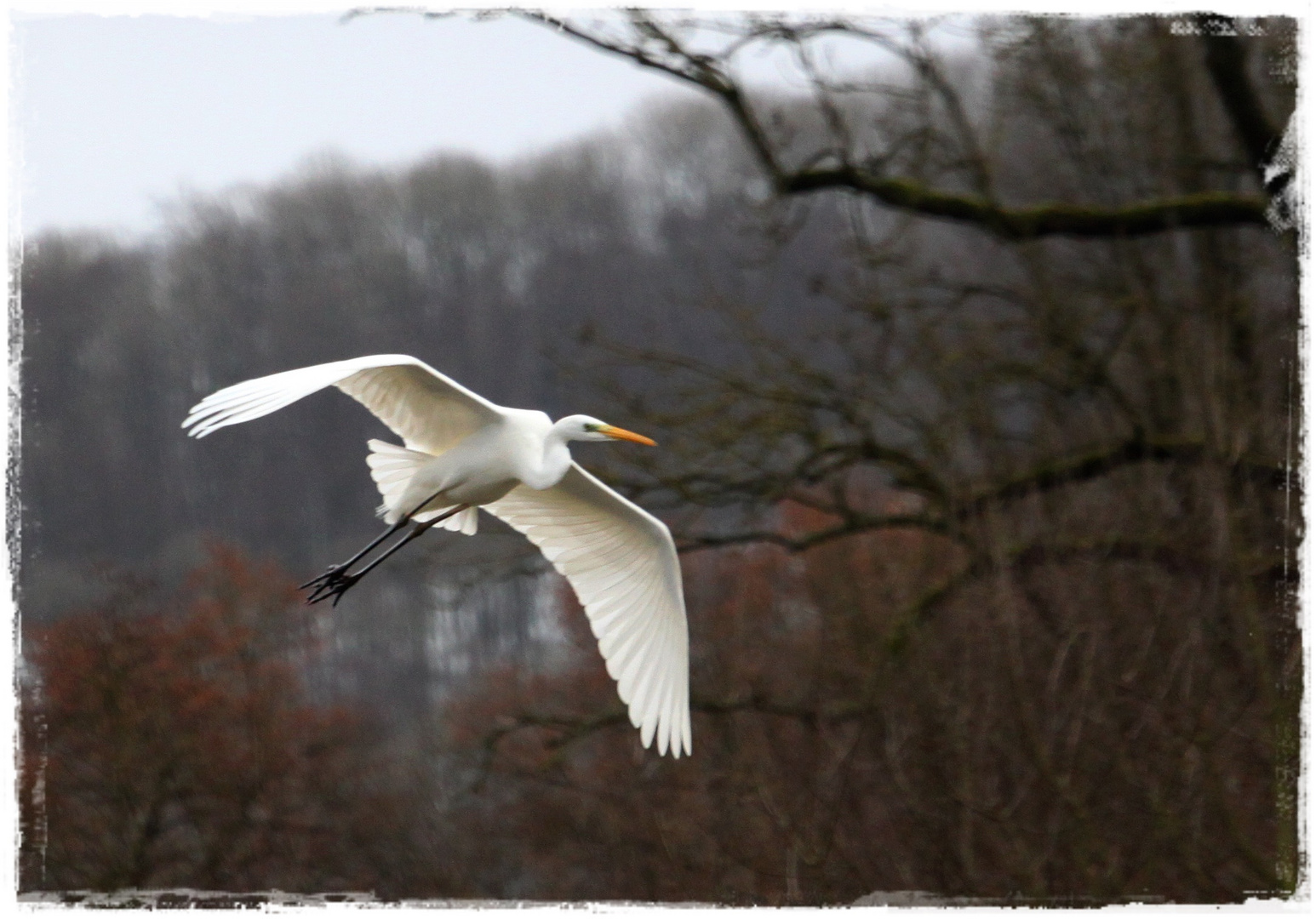 Im Flug vorbei