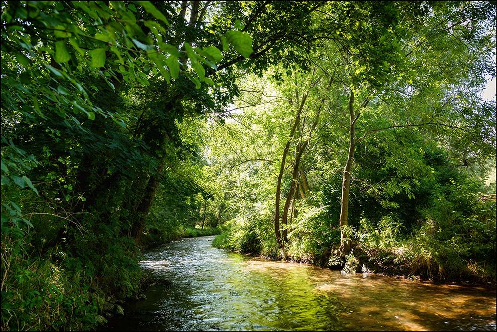Im Fluss #1