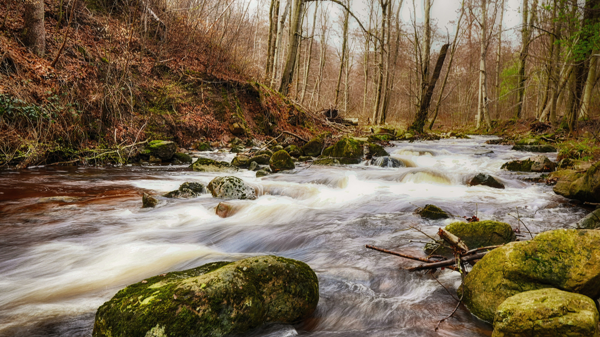 Im Fluss des Lebens 