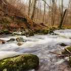 Im Fluss des Lebens 