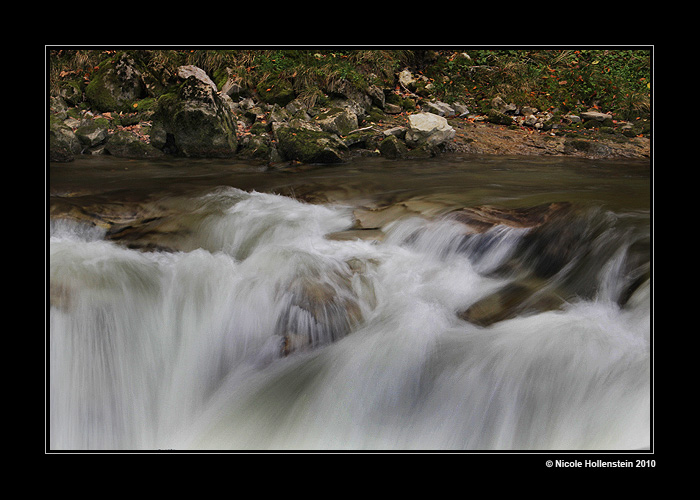 Im Fluss des Lebens