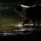 Im Fluss  Fotoworkshop NIK-Fotografie