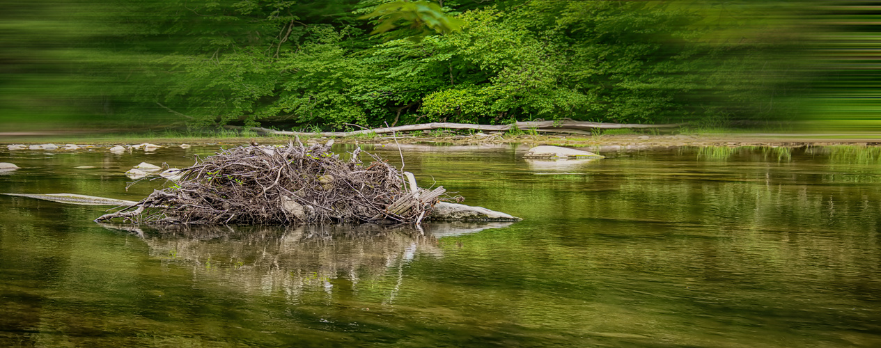 Im Fluß sein - To be in the Flow