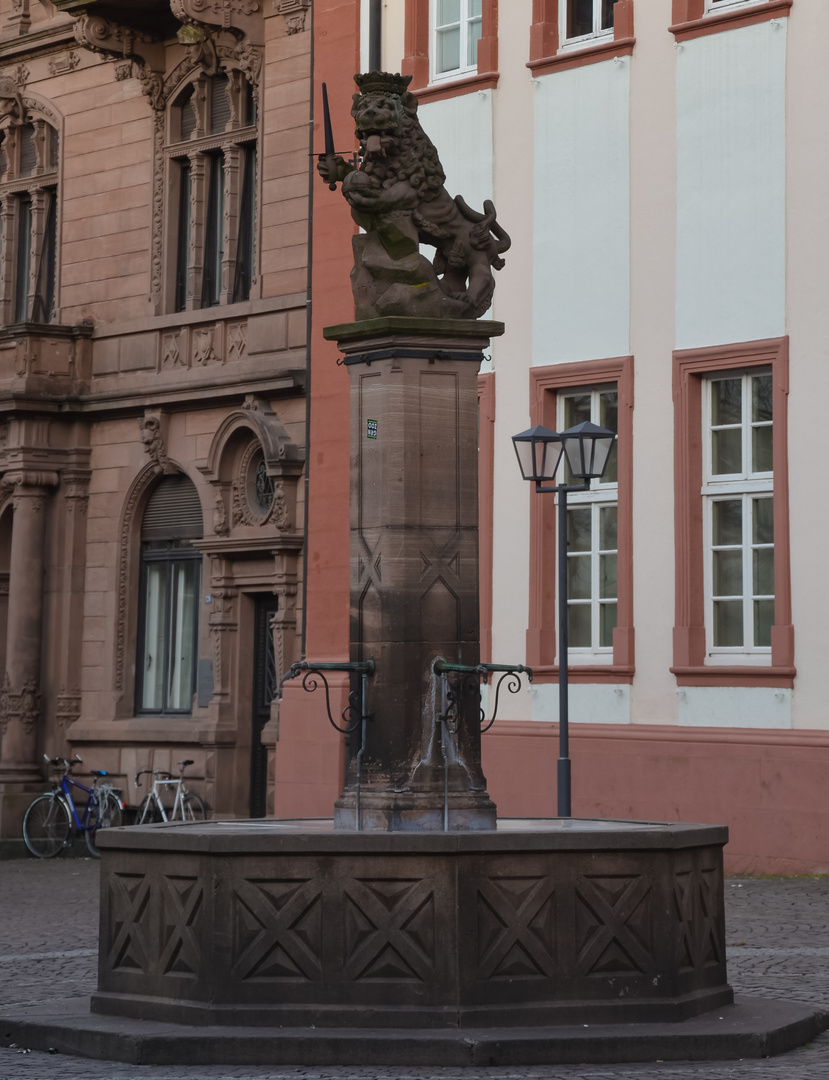 *** " im fokus " brunnen