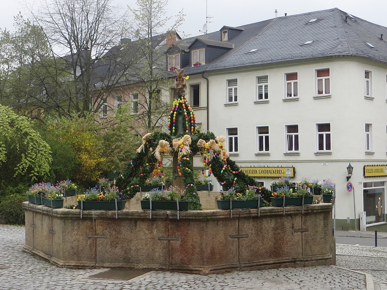 Im Fokus :Der Frühling zeigt sich