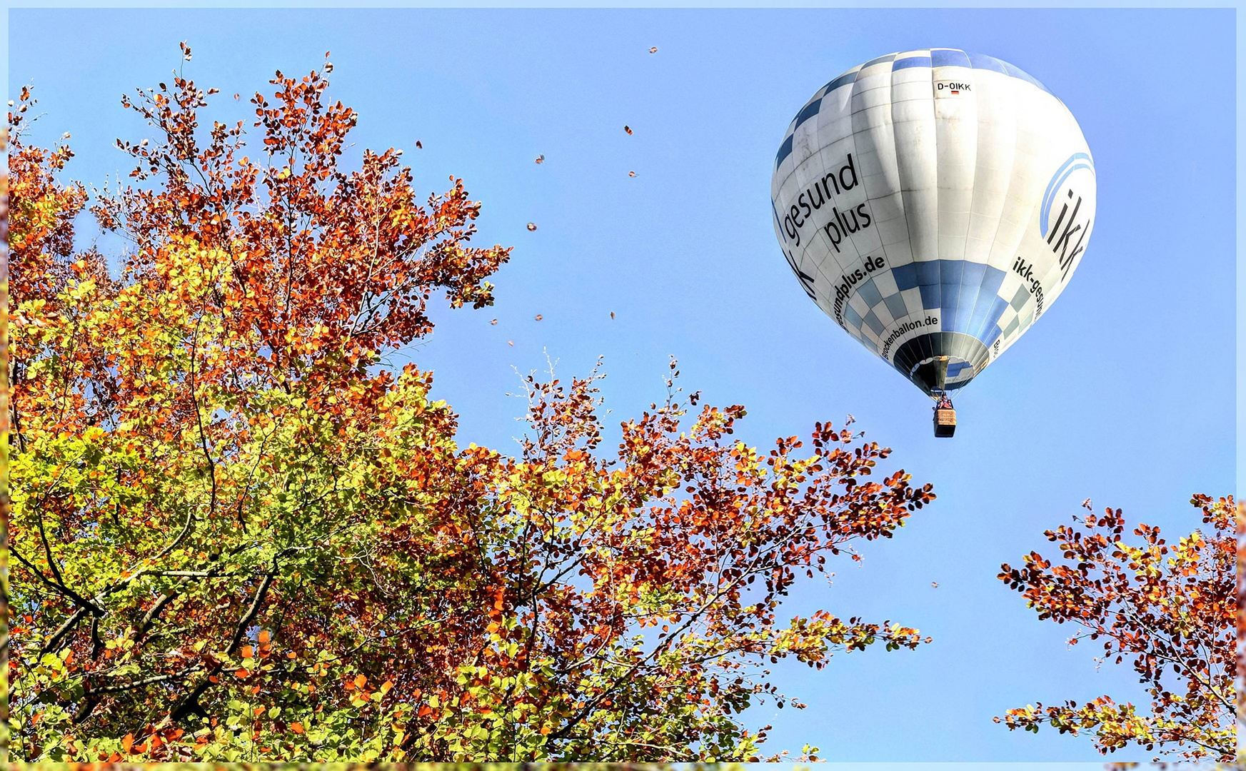 "im Fokus" es fliegt