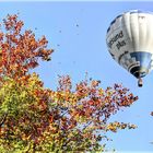 "im Fokus" es fliegt