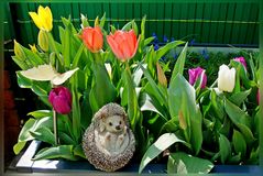 Im Fokus: Frühling