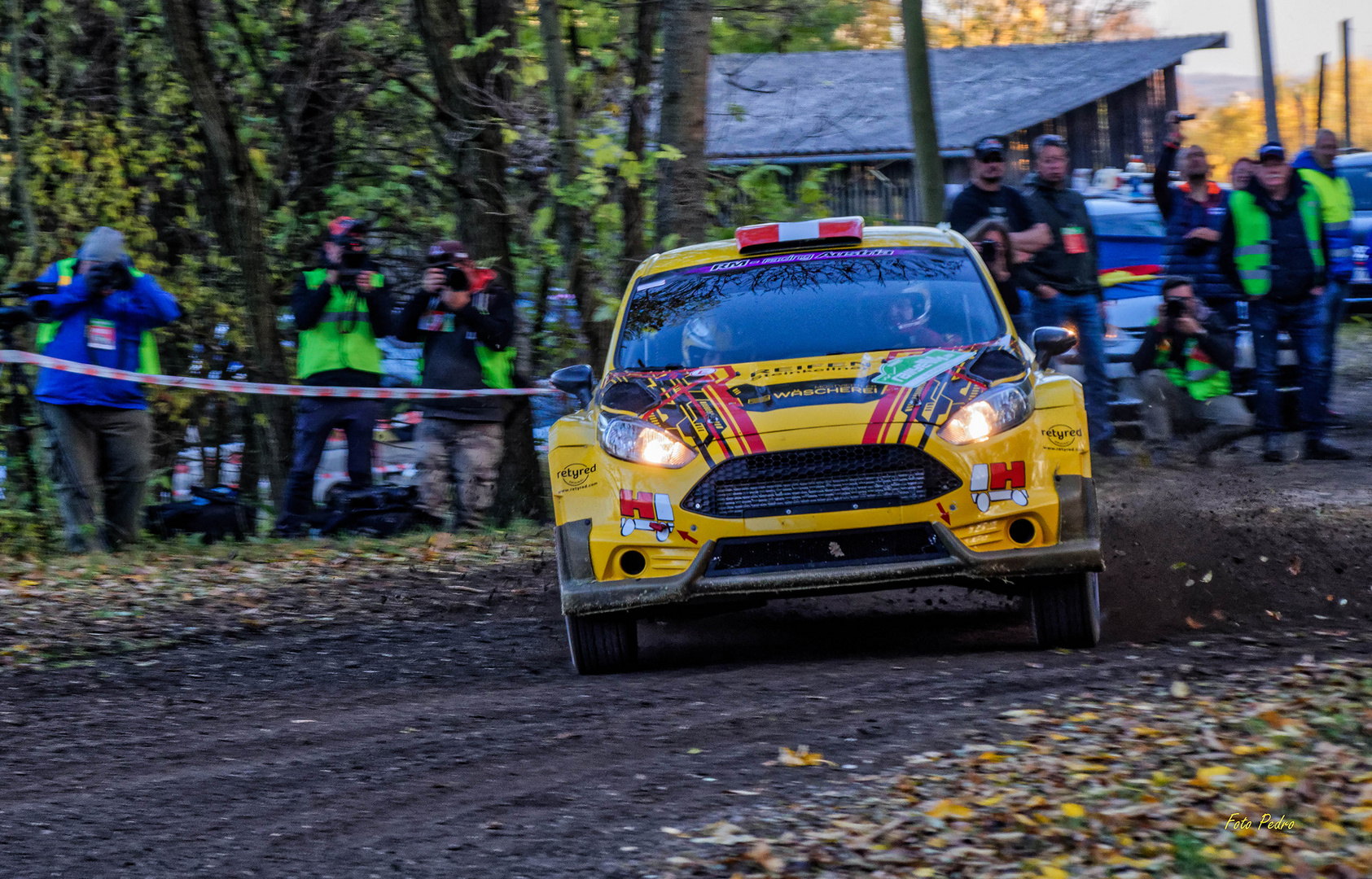 "im Fokus" Herbstlaub im Wind