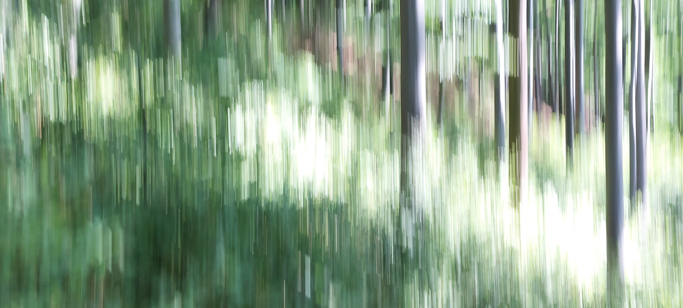 im fokus - icm (intentional camera movement)