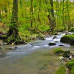 im Fokus "Idyllische Bachläufe"