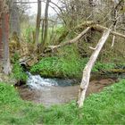 im fokus - idyllische bachläufe