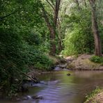 "im Fokus" idyllische Bachläufe