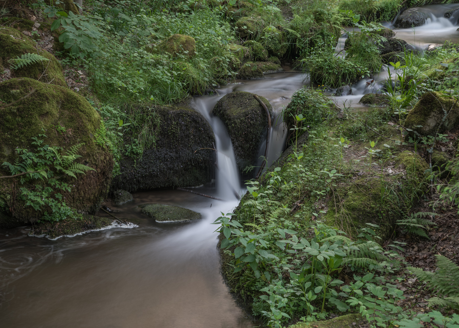 ***     im fokus "  idyllische Bachläufe  "        ***