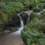 ***     im fokus "  idyllische Bachläufe  "        ***