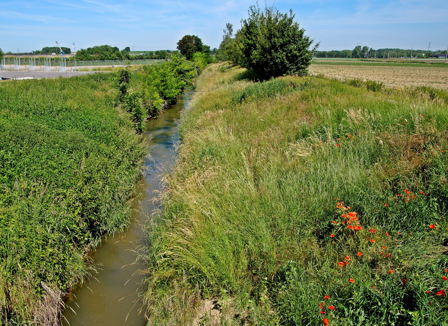 Im Fokus: idyllische Bachläufe