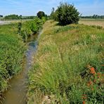 Im Fokus: idyllische Bachläufe