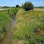 Im Fokus: idyllische Bachläufe