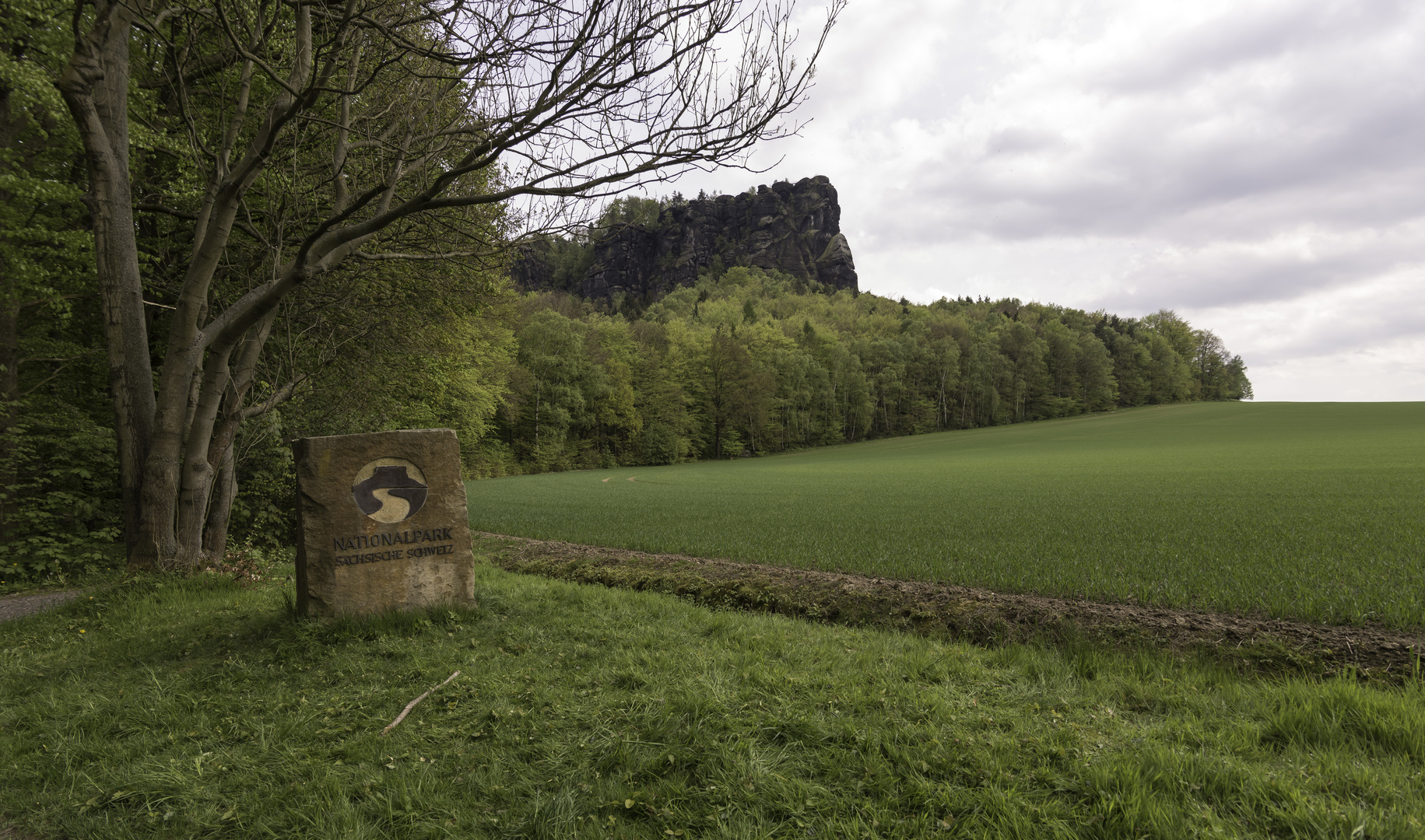 ***    im fokus   " im park "      ***