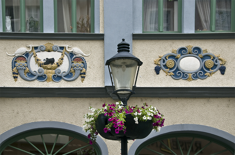 Im Fokus - Natur in der Stadt