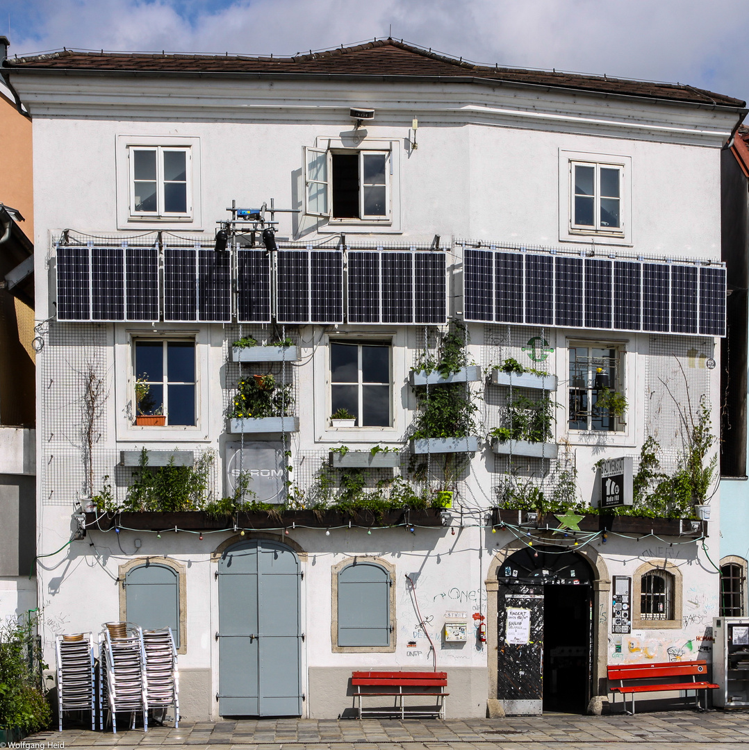 Im Fokus: " Natur in der Stadt