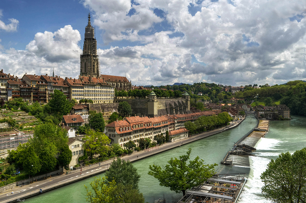 "im Fokus" Natur in der Stadt