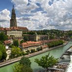 "im Fokus" Natur in der Stadt