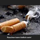 im Fokus: "Rauch und Dampf"