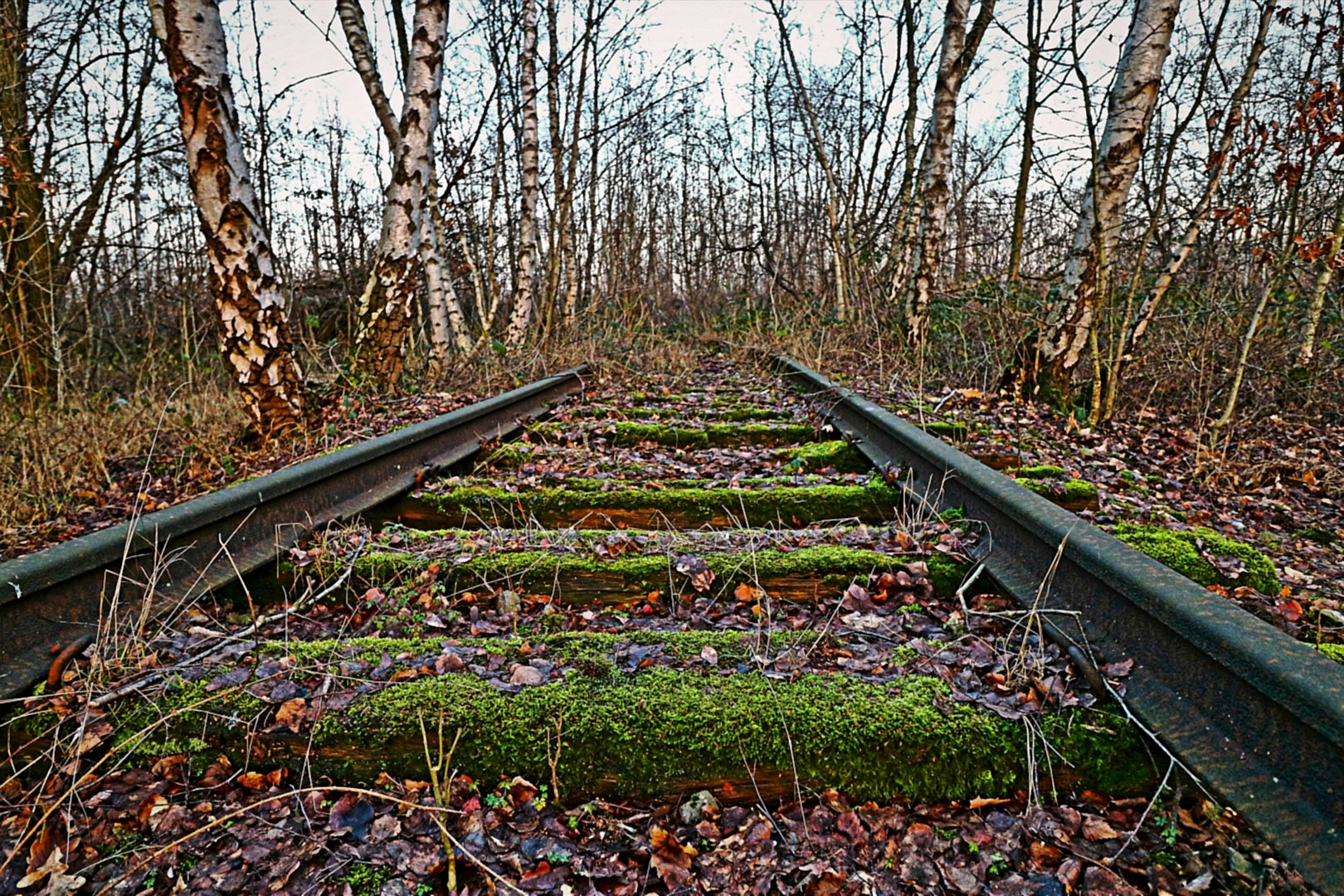 "im Fokus" Schienenstränge