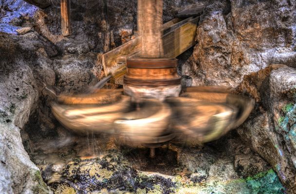 "im Fokus" schwungvoll