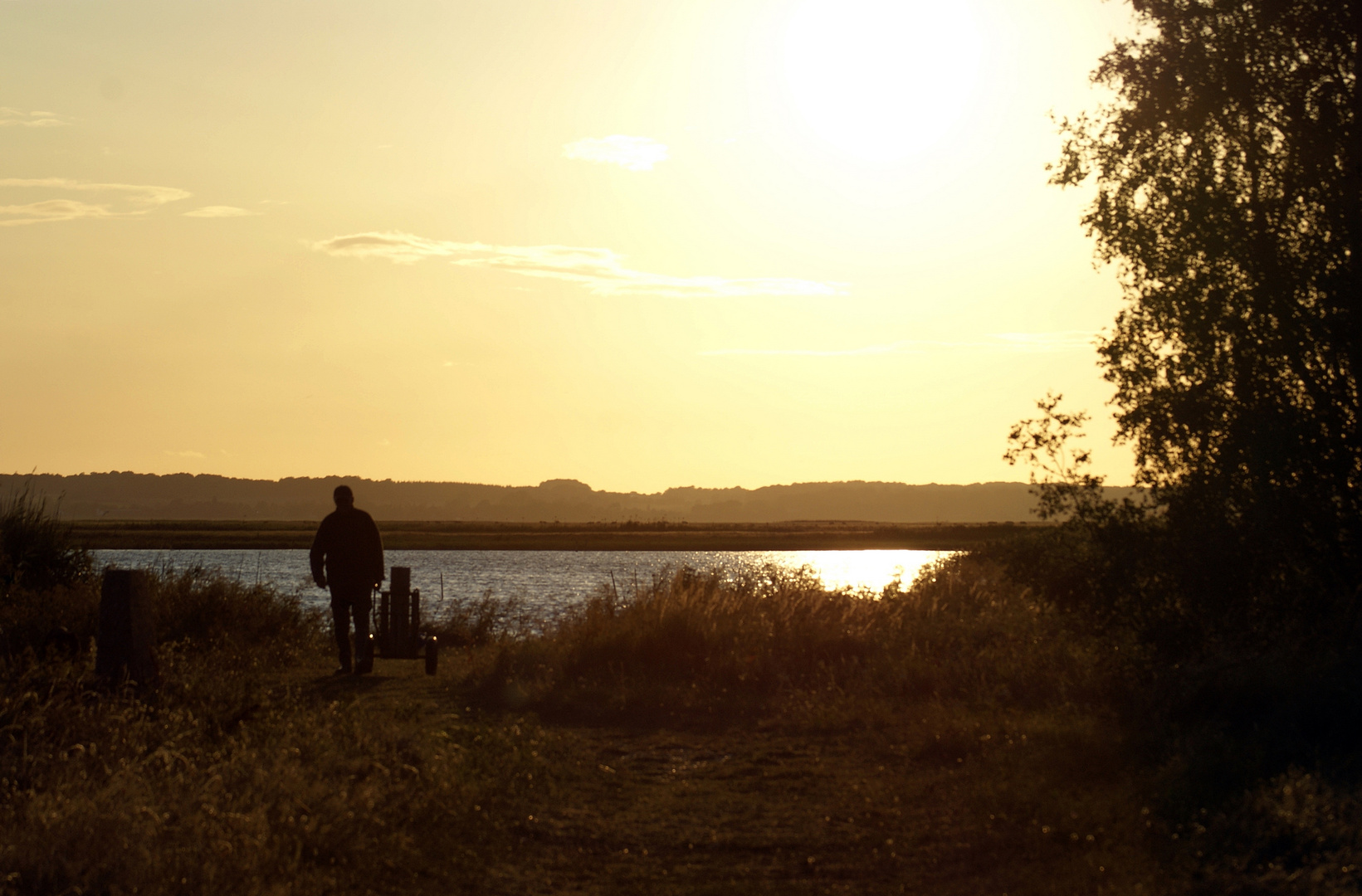 im Fokus: "Silhouetten/Motive"