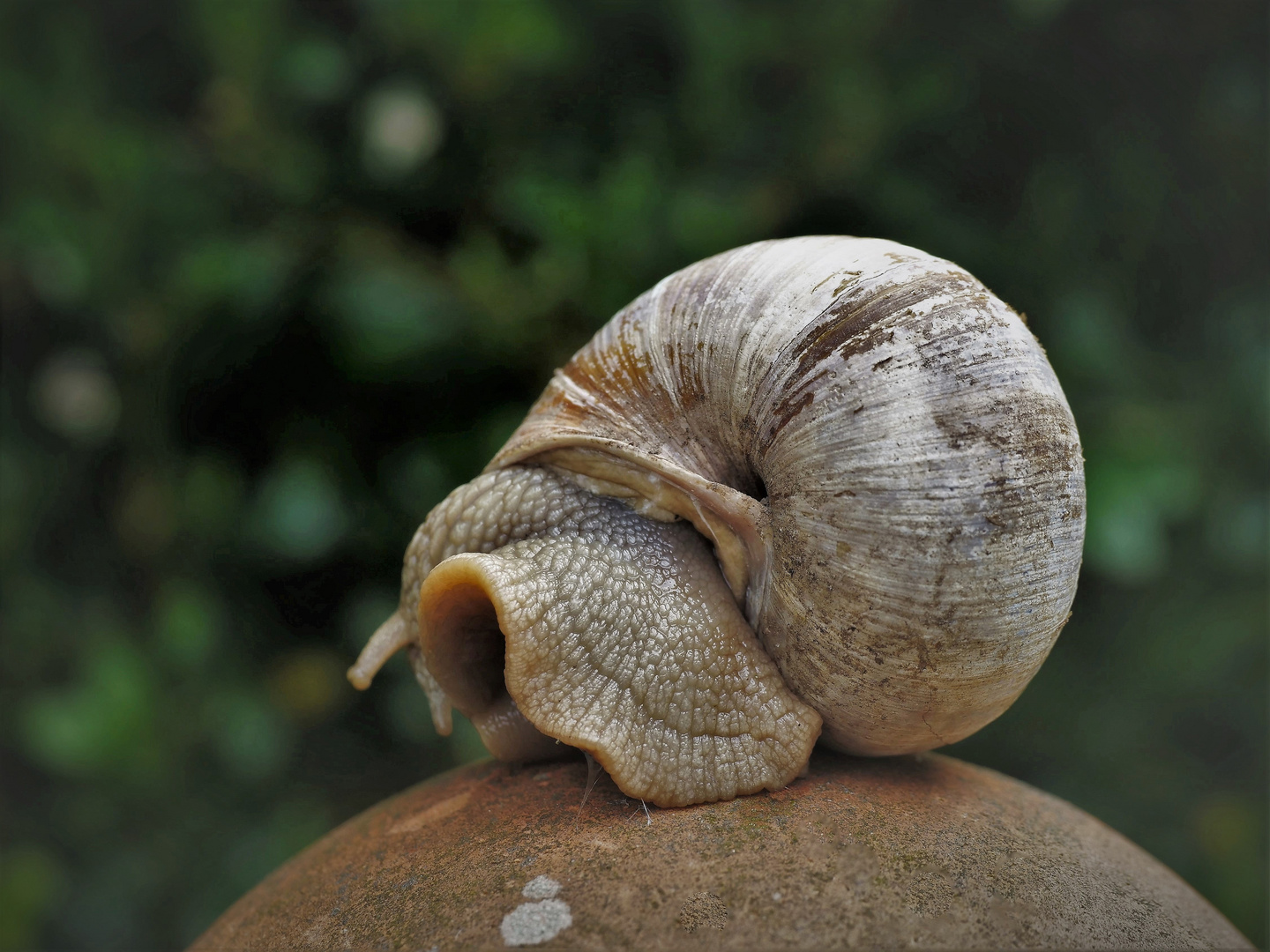 Im Fokus: Skulptur