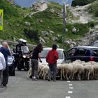 Im Fokus "Sommeraktivitäten"