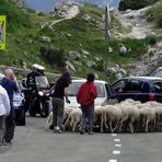 Im Fokus "Sommeraktivitäten"