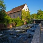  "im Fokus" Wasser im städtischen Bereich 