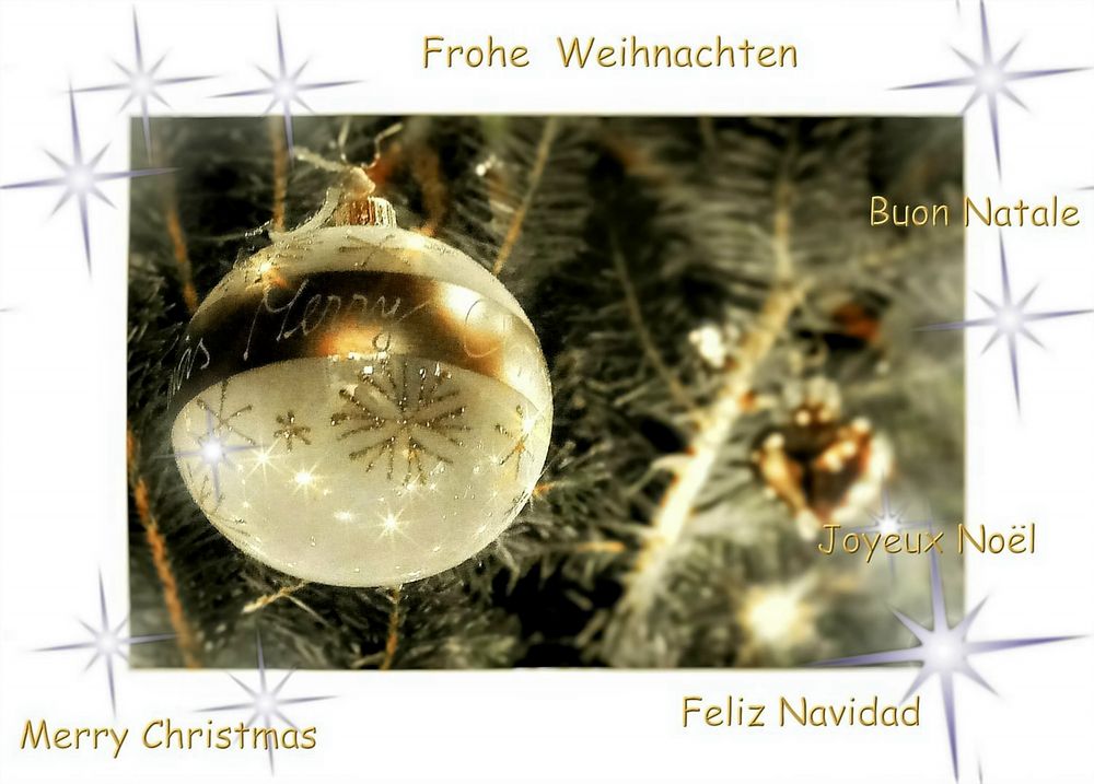 "im Fokus" Weihnachtliches