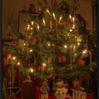 ...Im Fokus "Weihnachtsbeleuchtung – zu viel, zu bunt, zu kitschig" ???...