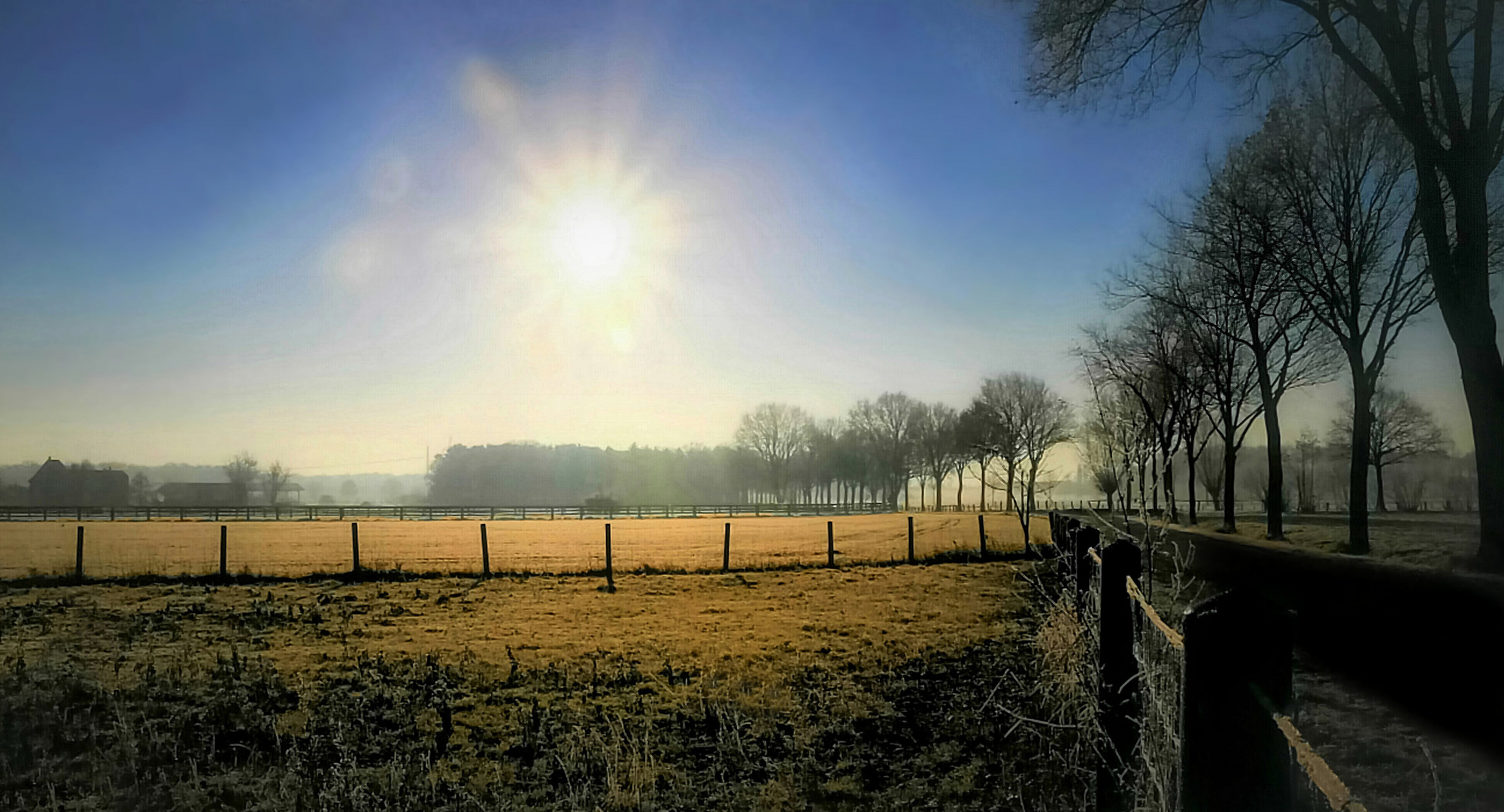 "Im Fokus" Winterlich