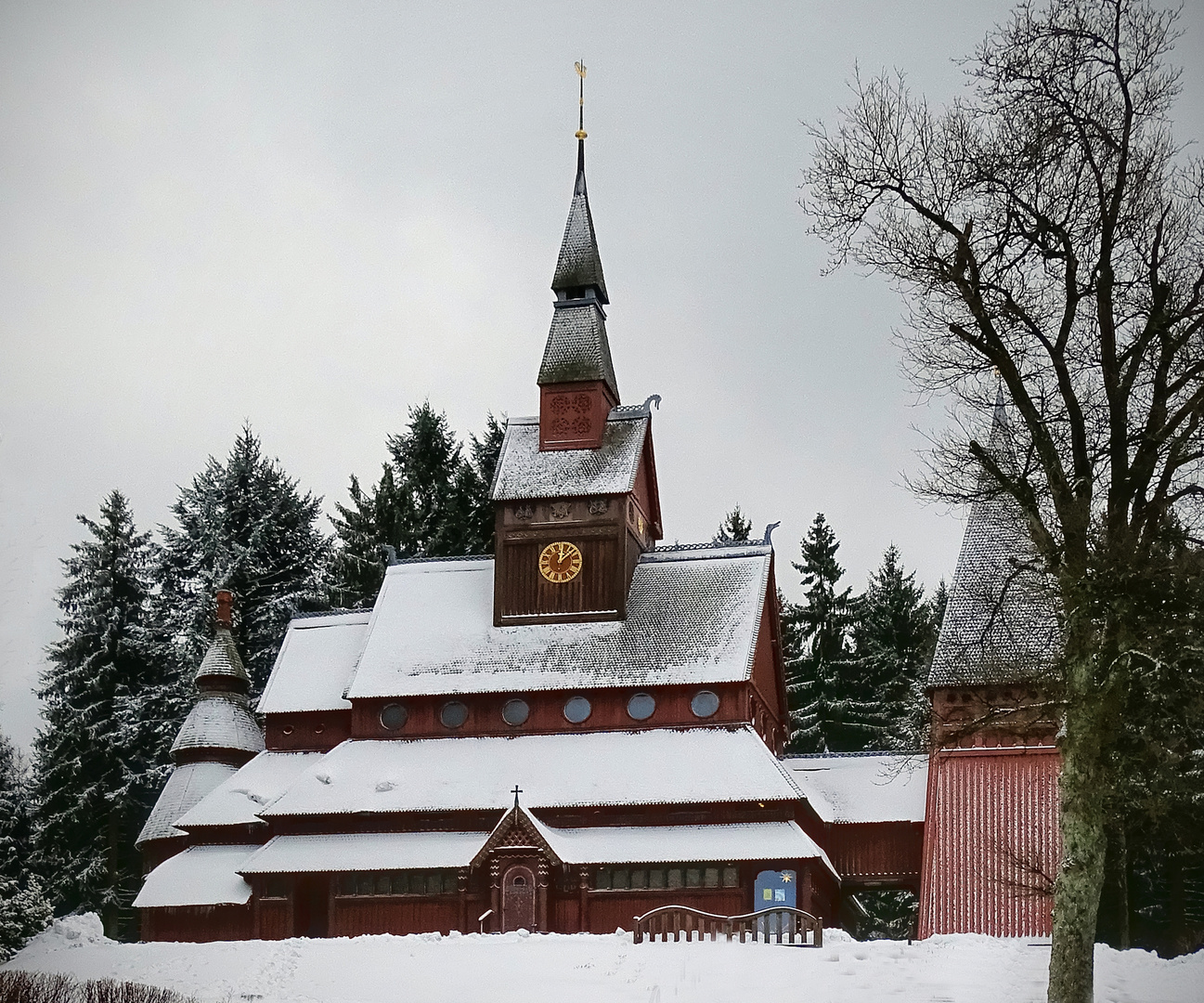 im fokus - winterliches