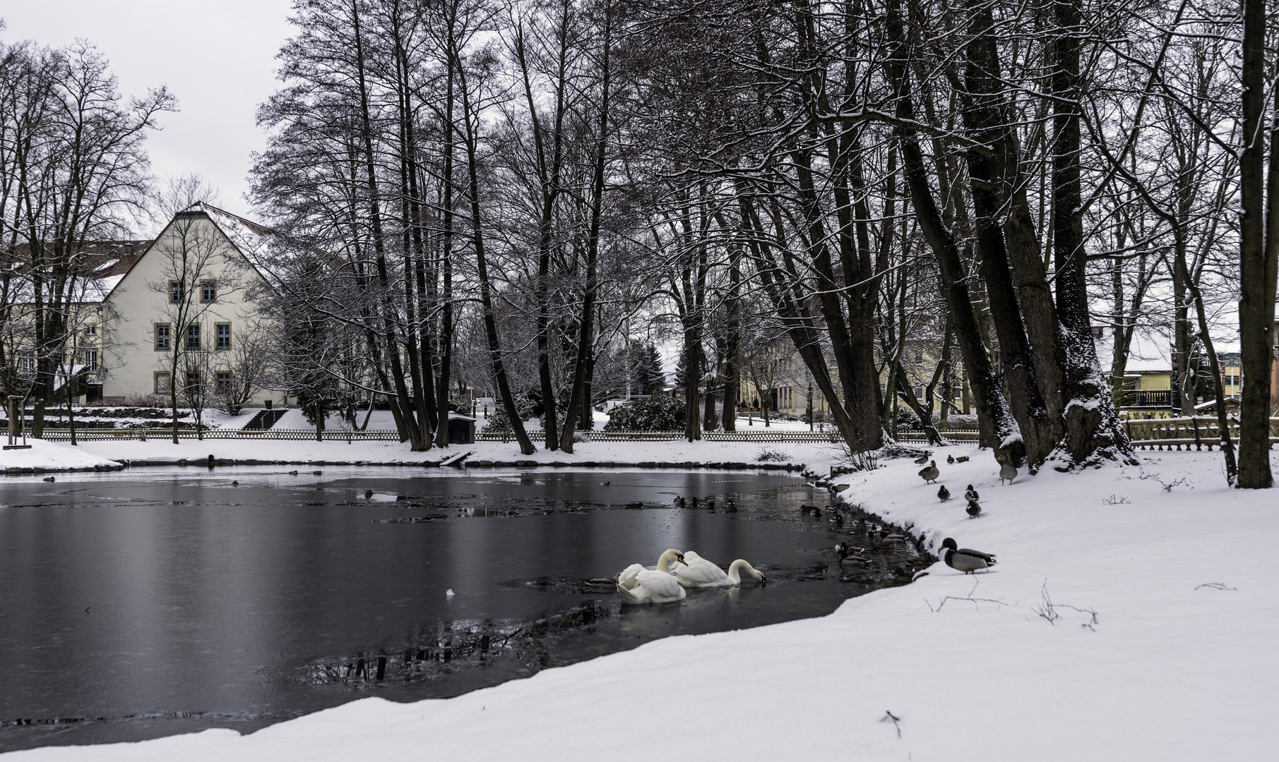 ***     " im fokus "  winterliches      ***