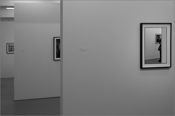 ... im Fotoforum ...