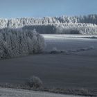 Im Frankenwald gleich hinterm Nebel