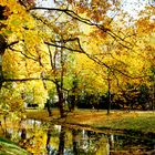 Im französischen Garten in Celle