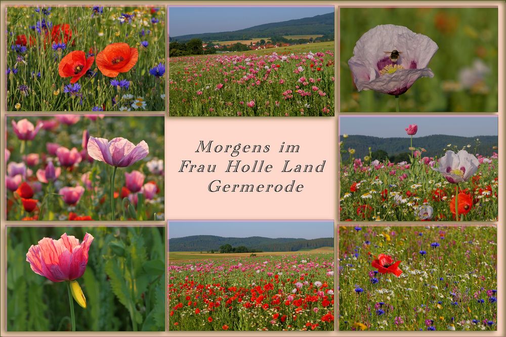 im Frau Holle Land