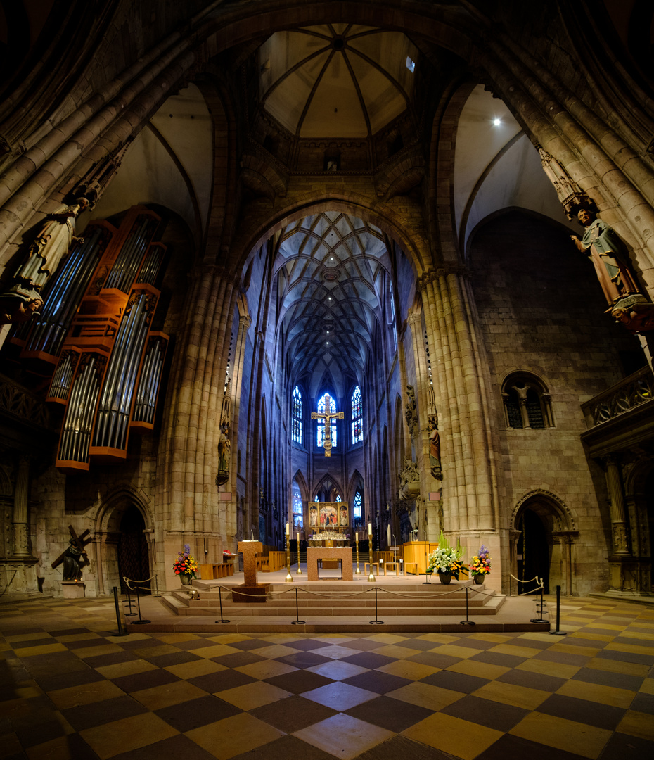 Im Freiburger Münster