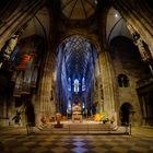 Im Freiburger Münster