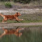 Im Freiflug zu Wasser