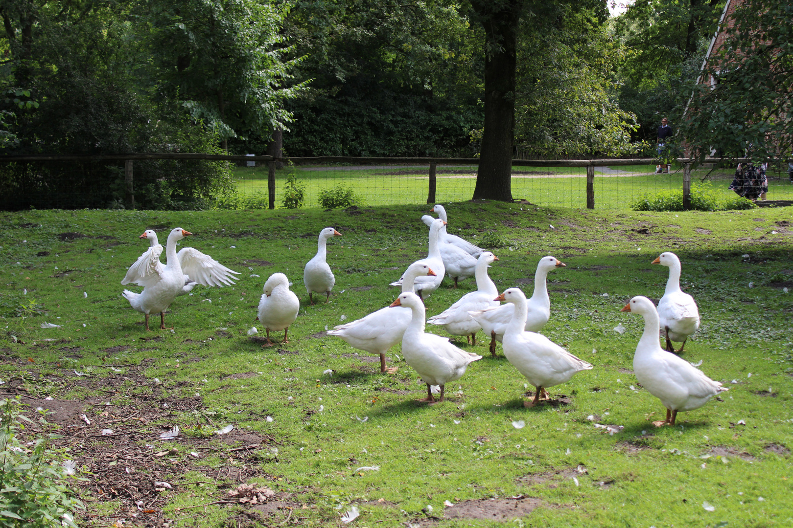 Im Freilichtmuseum Cloppenburg