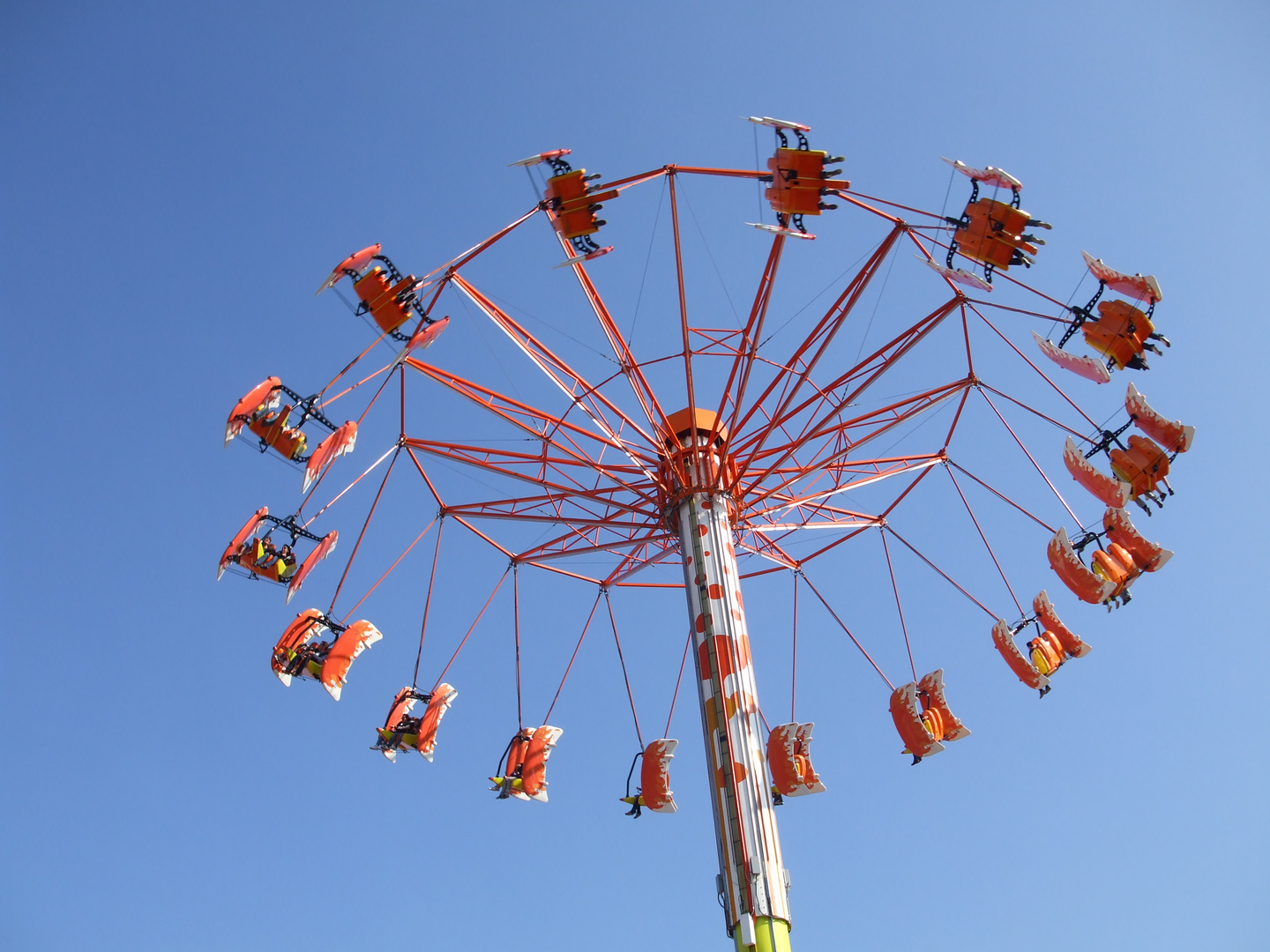 Im Freizeitpark - Ameisenperspektive