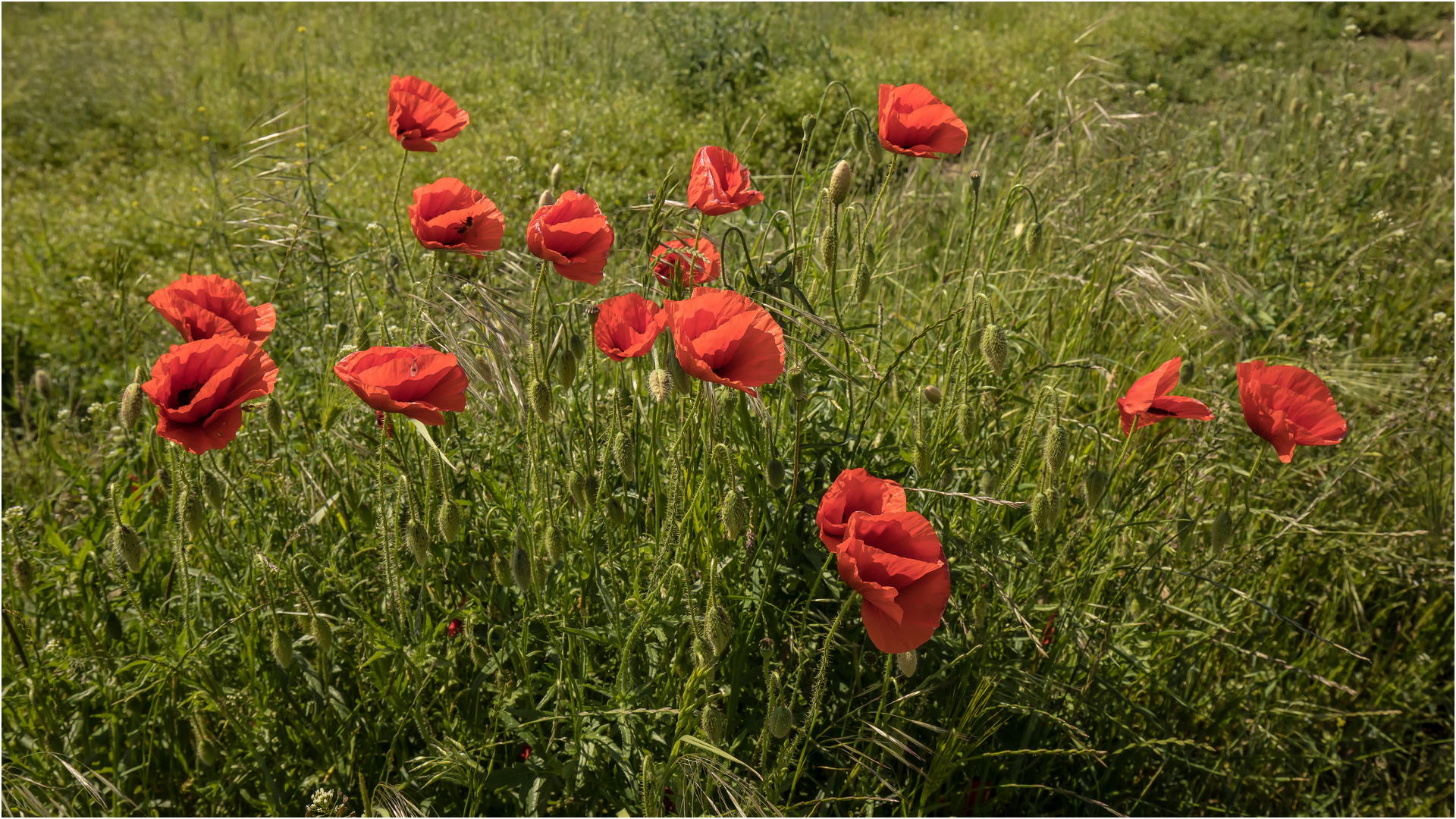 im frischen Wind  .....